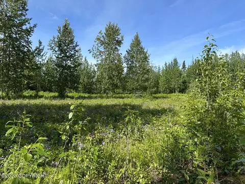 63805 Evergreen Loop, Ninilchik, AK 99639 photo 3