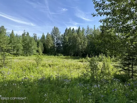 63805 Evergreen Loop, Ninilchik, AK 99639 photo 4