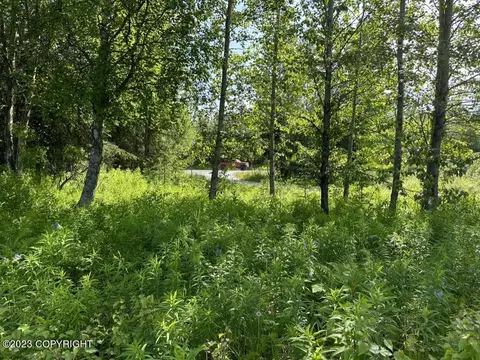 63805 Evergreen Loop, Ninilchik, AK 99639 photo 2