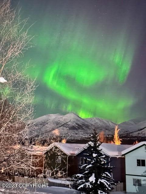 3729 Sycamore Loop, Anchorage, AK 99504 photo 31