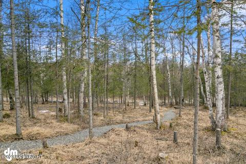 3962 Serendipity, Wasilla, AK 99654 photo 75