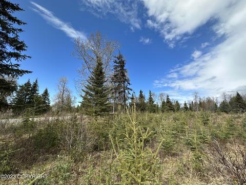 0011 Aspen Ave, Ninilchik, AK 99639