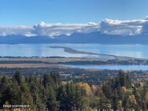 481 Skyline Dr, Homer, AK 99603