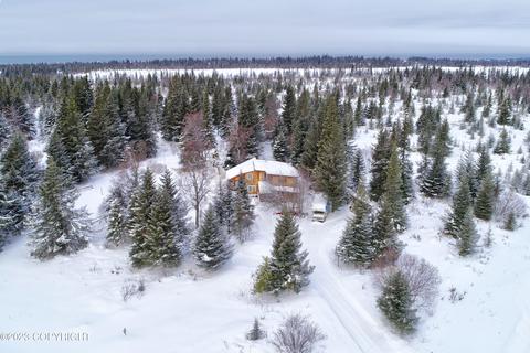 21783 Twilight St, Ninilchik, AK 99639 photo 36
