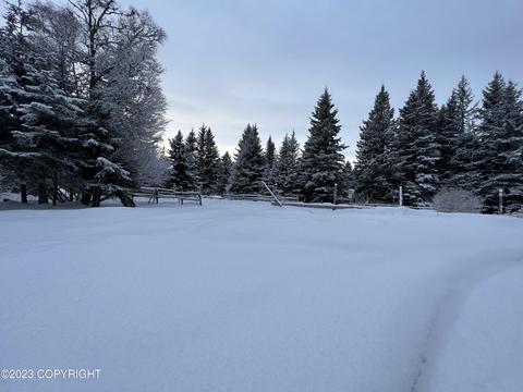 21783 Twilight St, Ninilchik, AK 99639 photo 17