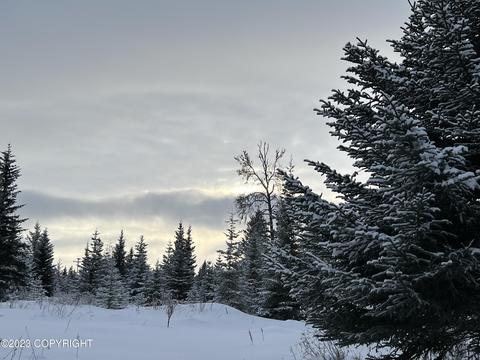 21783 Twilight St, Ninilchik, AK 99639 photo 22