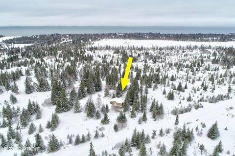 21783 Twilight St, Ninilchik, AK 99639 photo 46
