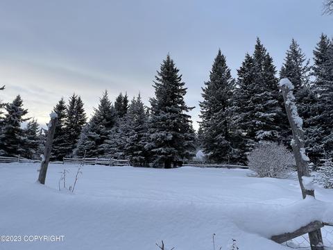 21783 Twilight St, Ninilchik, AK 99639 photo 20