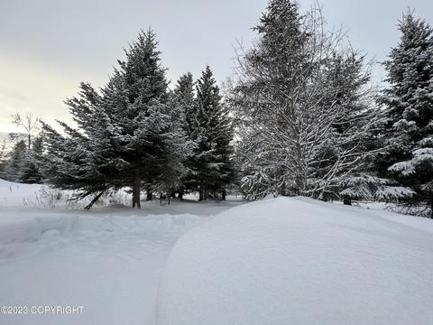 21783 Twilight St, Ninilchik, AK 99639 photo 23