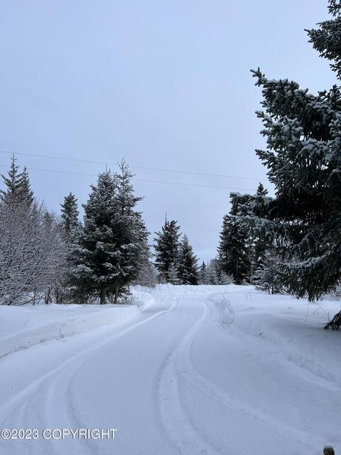 21783 Twilight St, Ninilchik, AK 99639 photo 25