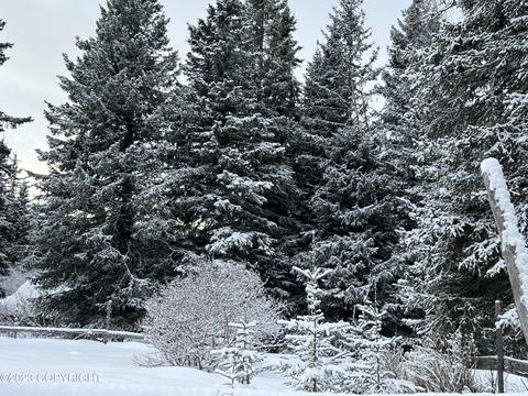 21783 Twilight St, Ninilchik, AK 99639 photo 19
