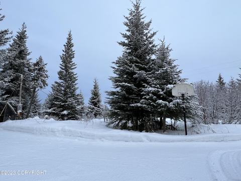 21783 Twilight St, Ninilchik, AK 99639 photo 24