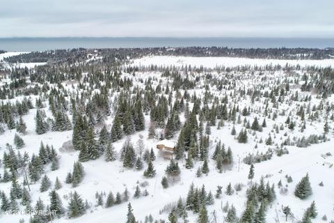 21783 Twilight St, Ninilchik, AK 99639 photo 45