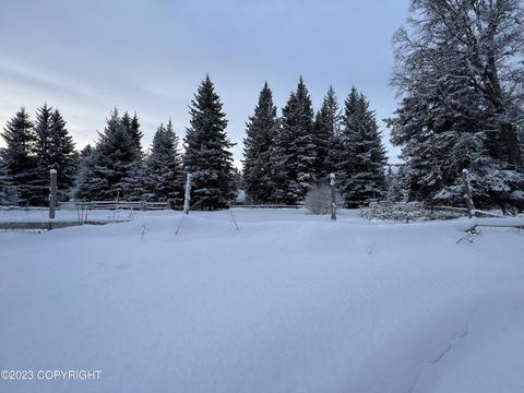 21783 Twilight St, Ninilchik, AK 99639 photo 18