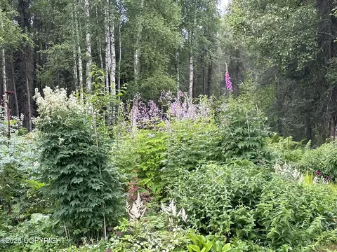 17238 W Willow Fishhook Rd, Willow, AK 99688 photo 43