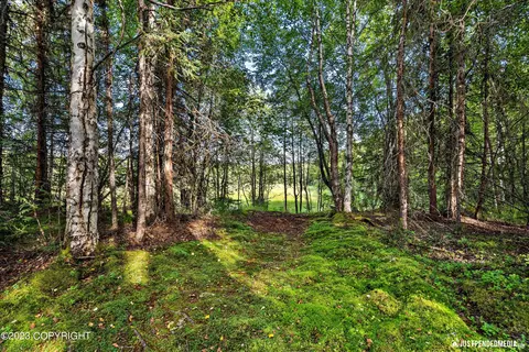 17238 W Willow Fishhook Rd, Willow, AK 99688 photo 72