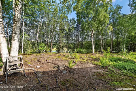 17238 W Willow Fishhook Rd, Willow, AK 99688 photo 47