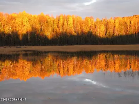 17238 W Willow Fishhook Rd, Willow, AK 99688 photo 90