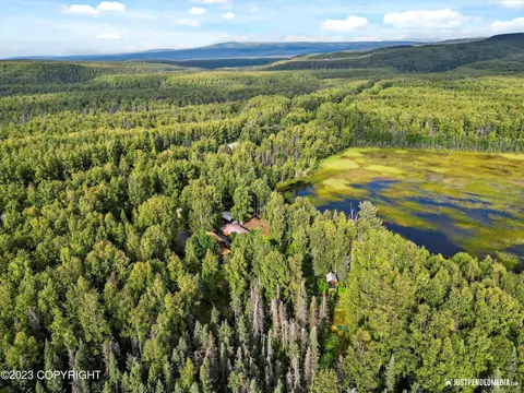 17238 W Willow Fishhook Rd, Willow, AK 99688 photo 57