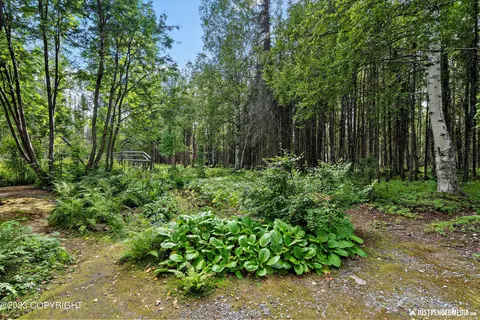 17238 W Willow Fishhook Rd, Willow, AK 99688 photo 48