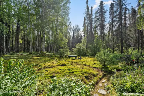 17238 W Willow Fishhook Rd, Willow, AK 99688 photo 69