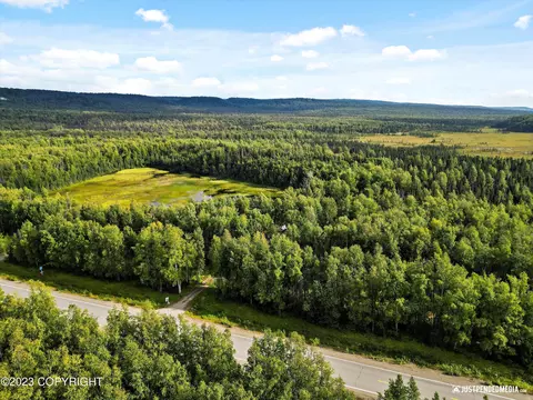 17238 W Willow Fishhook Rd, Willow, AK 99688 photo 54
