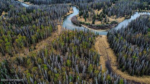 C004 No Road, Wasilla, AK 99623