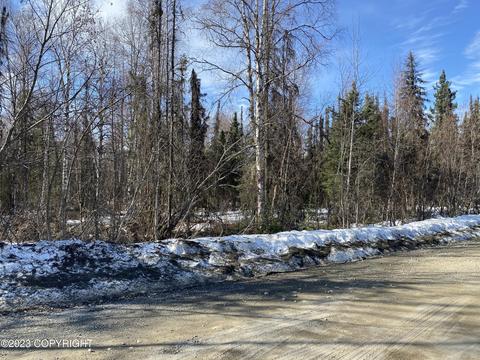 20256 W Twitty Ave, Willow, AK 99688