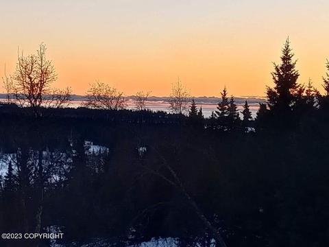 67425 Berussa Rd, Ninilchik, AK 99639 photo 2