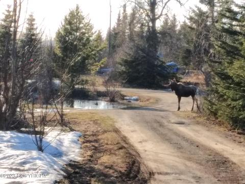 67425 Berussa Rd, Ninilchik, AK 99639 photo 4