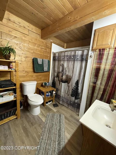 67425 Berussa Rd, Ninilchik, AK 99639 photo 24