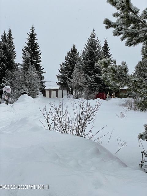 67425 Berussa Rd, Ninilchik, AK 99639 photo 59