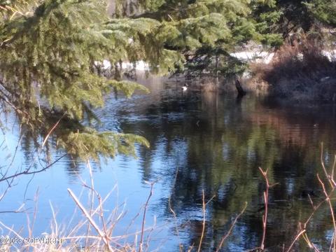 67425 Berussa Rd, Ninilchik, AK 99639 photo 65