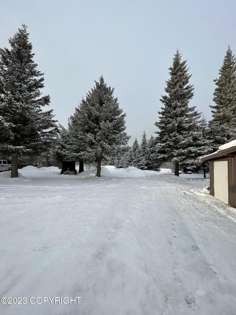 67425 Berussa Rd, Ninilchik, AK 99639 photo 55