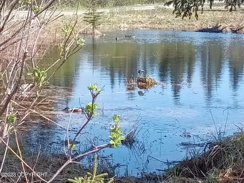 67425 Berussa Rd, Ninilchik, AK 99639 photo 5