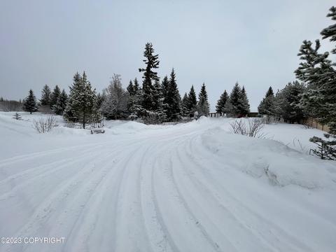 67425 Berussa Rd, Ninilchik, AK 99639 photo 56