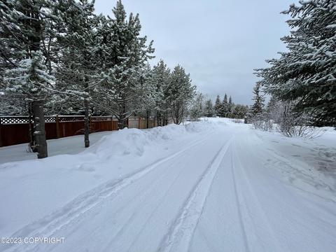 67425 Berussa Rd, Ninilchik, AK 99639 photo 9