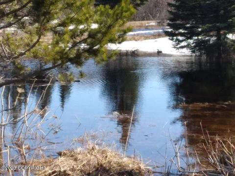67425 Berussa Rd, Ninilchik, AK 99639 photo 68