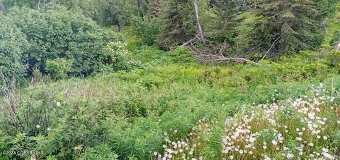 67425 Berussa Rd, Ninilchik, AK 99639 photo 61