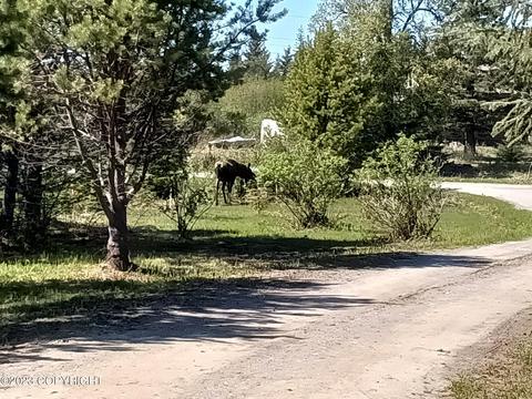 67425 Berussa Rd, Ninilchik, AK 99639 photo 6