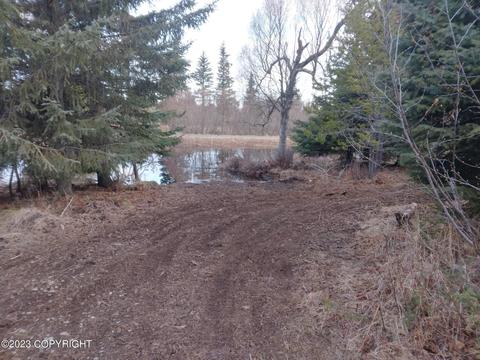 67425 Berussa Rd, Ninilchik, AK 99639 photo 67