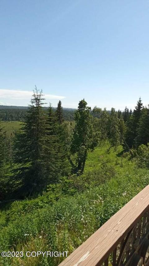 67425 Berussa Rd, Ninilchik, AK 99639 photo 63
