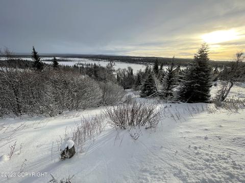 67425 Berussa Rd, Ninilchik, AK 99639 photo 40