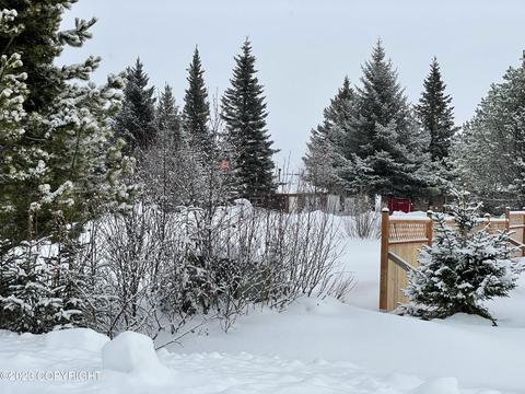 67425 Berussa Rd, Ninilchik, AK 99639 photo 60