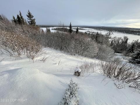 67425 Berussa Rd, Ninilchik, AK 99639 photo 3
