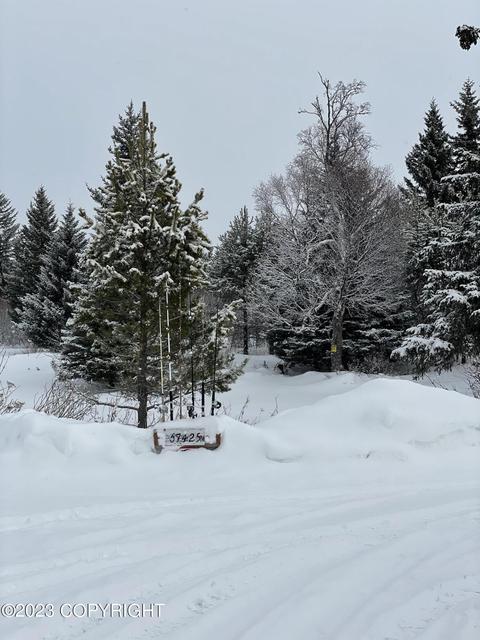 67425 Berussa Rd, Ninilchik, AK 99639 photo 58