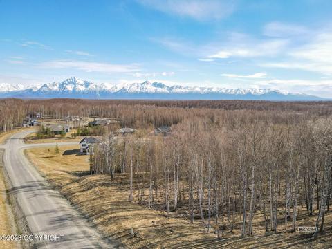 8265 E Windy Woods Loop, Palmer, AK 99645 photo 8