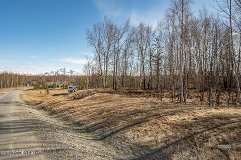 8265 E Windy Woods Loop, Palmer, AK 99645 photo 3
