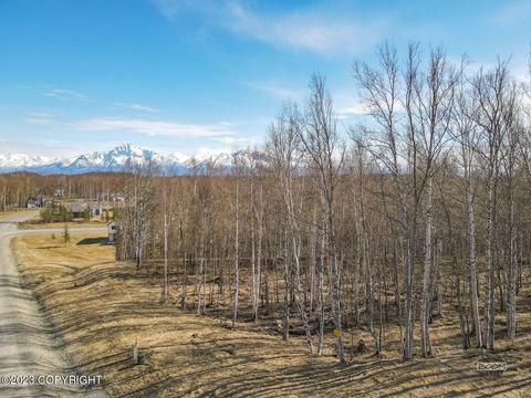 8265 E Windy Woods Loop, Palmer, AK 99645 photo 7