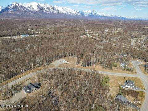 8265 E Windy Woods Loop, Palmer, AK 99645 photo 2